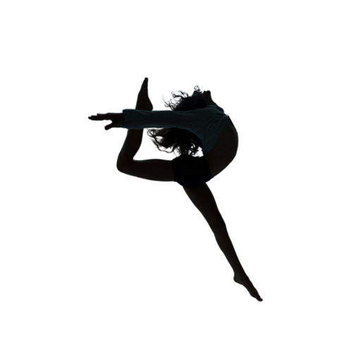 action icon