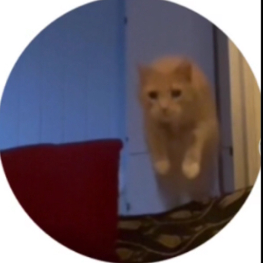 action icon