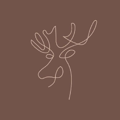 action icon