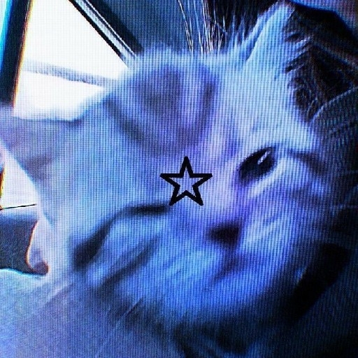 action icon