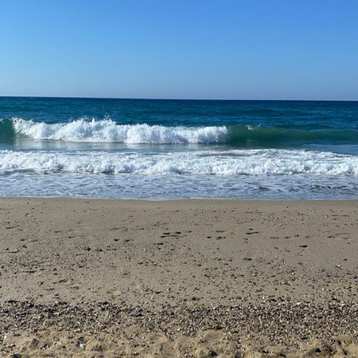 action icon
