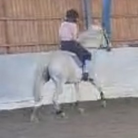 action icon