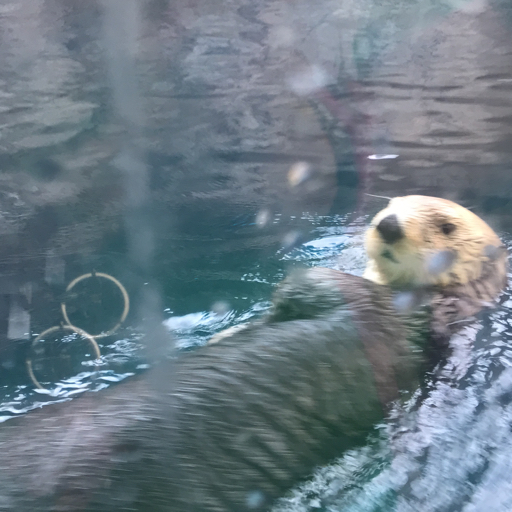 action icon