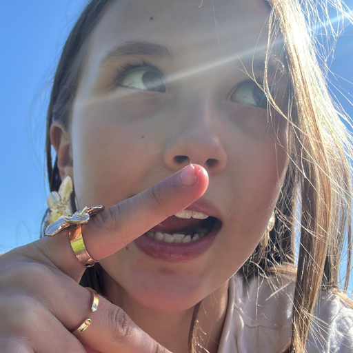 action icon