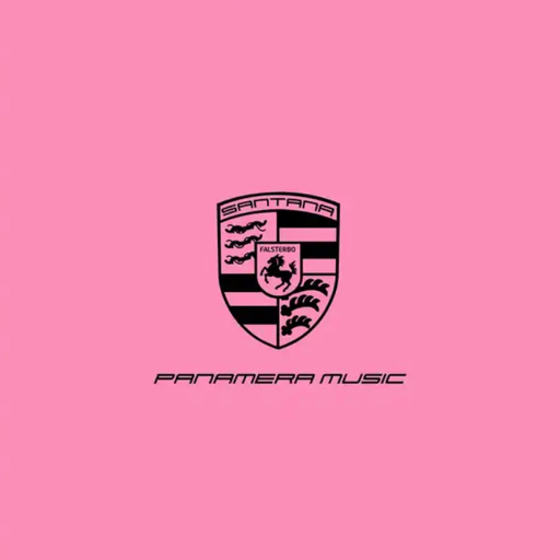action icon
