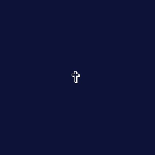 action icon