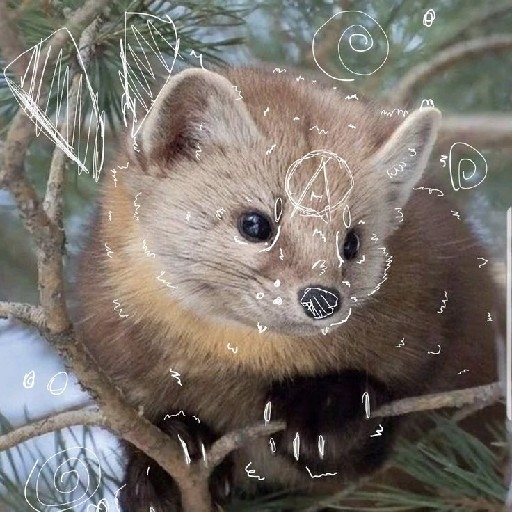 action icon