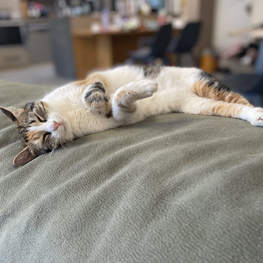 action icon