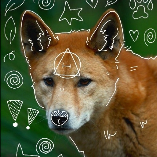 avatar image