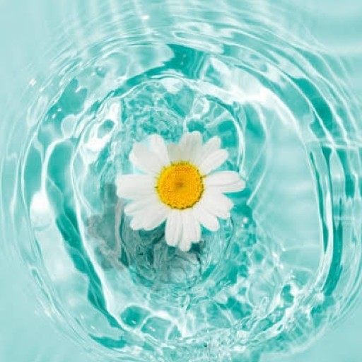 action icon
