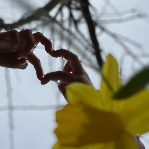 action icon