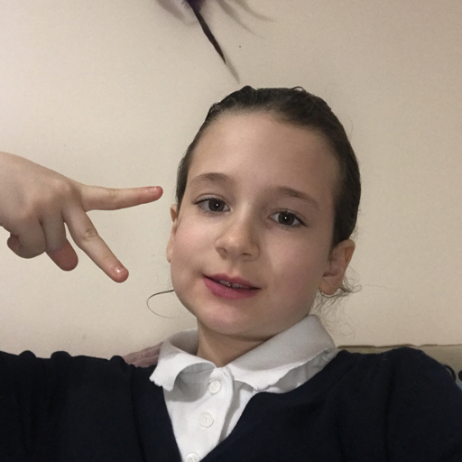 action icon