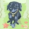action icon