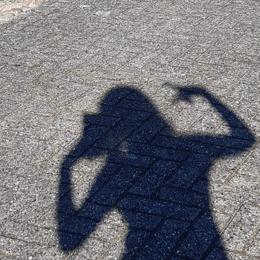 action icon